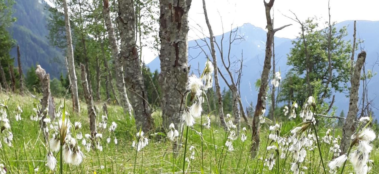 Unterreinischhof Villa Anterselva di Mezzo Buitenkant foto