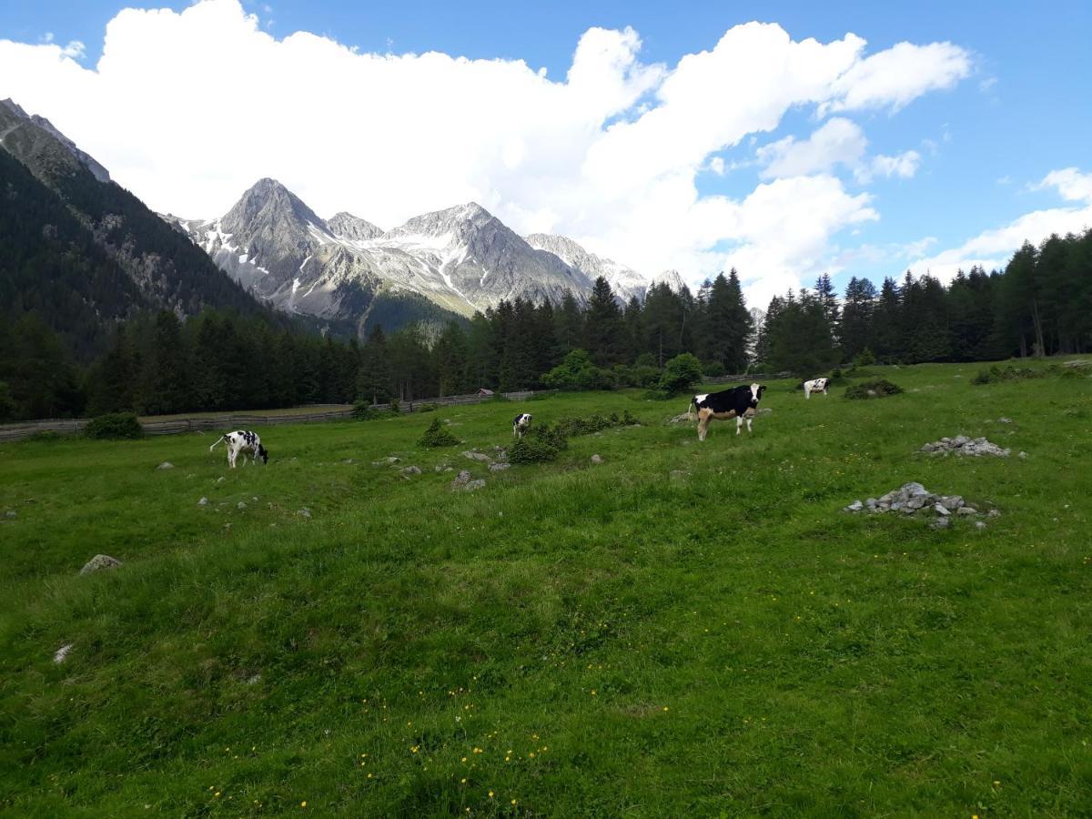 Unterreinischhof Villa Anterselva di Mezzo Buitenkant foto