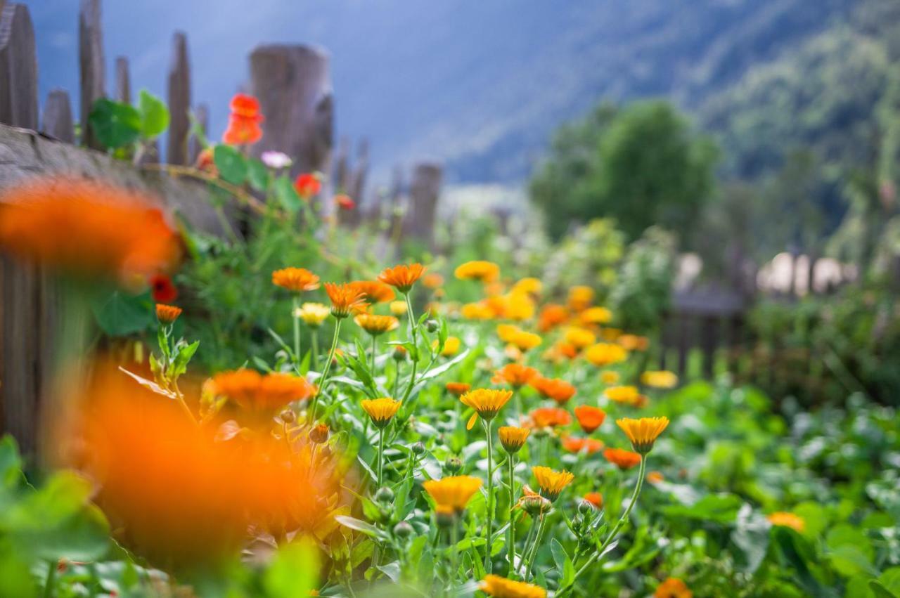 Unterreinischhof Villa Anterselva di Mezzo Buitenkant foto